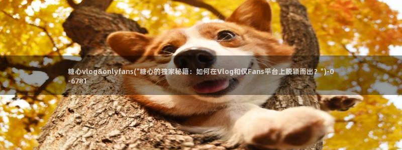 糖心vlog白菜妹妹：糖心vlog&onlyfans(\