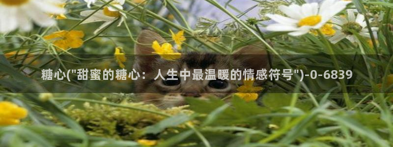 糖心vlog污ios：糖心(\