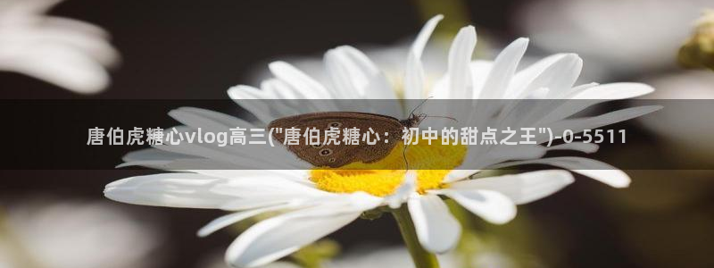 糖心五vlog：唐伯虎糖心vlog高三(\