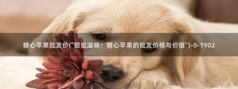 糖心少女vlog孤独的生日：糖心苹果批发价(\