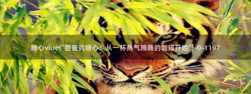 糖心小视频