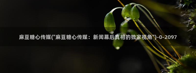 糖心 vlog下载：麻豆糖心传媒(\