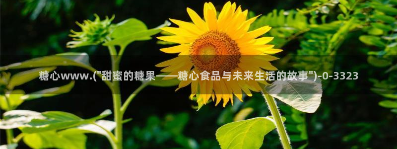 糖心vlog.