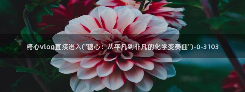 糖vlog：糖心vlog直接进入(\