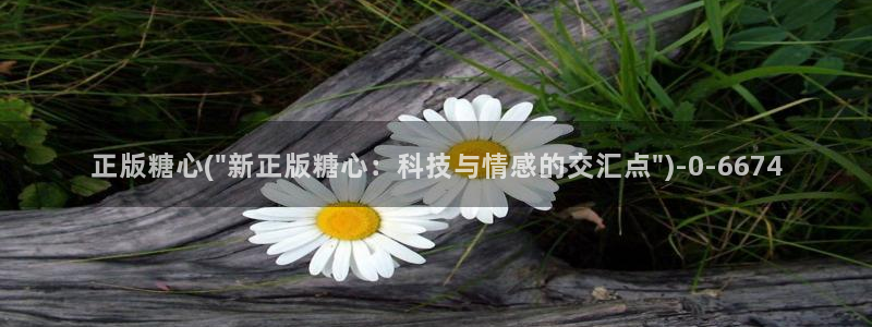 糖vlog免费
